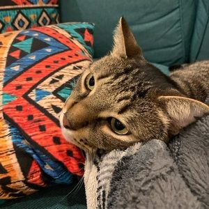 Meet your Posher, Mo